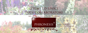 pronesis_slide_10