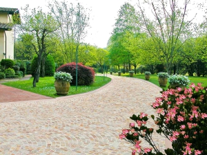Ville_lussuose_viale_nel_giardino_01