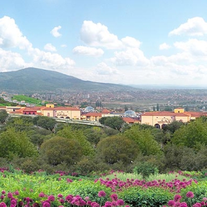 area_nord_mitrovica_evid