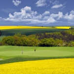 campi_da_golf_01