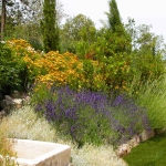 colori_e_profumi_giardino_02