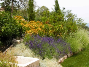 colori_e_profumi_giardino_02