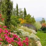 colori_e_profumi_giardino_03