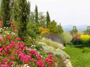 colori_e_profumi_giardino_03