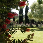 colori_e_profumi_giardino_13
