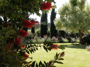 colori_e_profumi_giardino_13