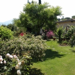 colori_e_profumi_giardino_14