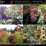 colori_e_profumi_giardino_17