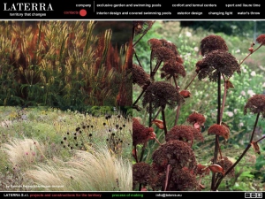 colori_e_profumi_giardino_18