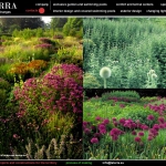 colori_e_profumi_giardino_19