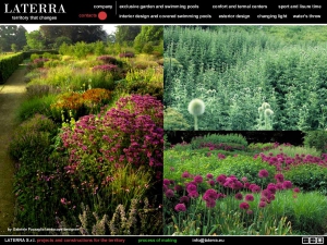 colori_e_profumi_giardino_19