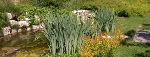 colori_e_profumi_giardino_slider_01