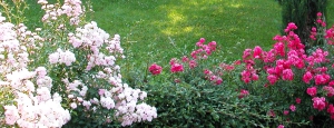 colori_e_profumi_giardino_slider_03