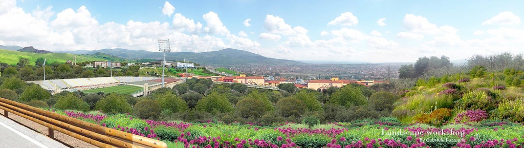 development_aree_Mitrovica_08