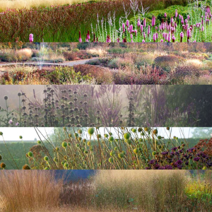 giardini_eleganti_Gabriele_pazzaglia_01