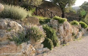 giardini_rocciosi_02