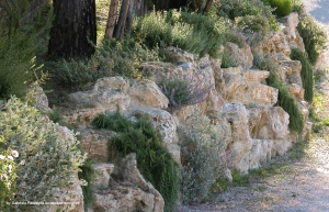 giardini_rocciosi_03