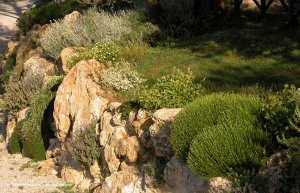giardini_rocciosi_04