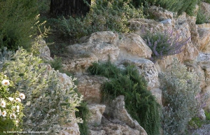 giardini_rocciosi_07