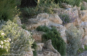 giardini_rocciosi_08