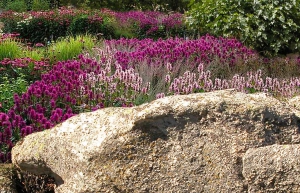 giardini_rocciosi_14