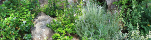 giardini_rocciosi_slider_01