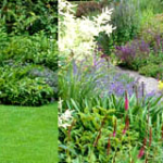 giardino_fiorito