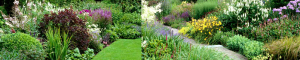 giardino_fiorito