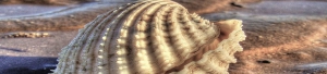 palaranci_slider_11