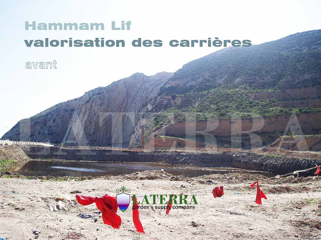trasformazione_immaginazione_hamman_lif_prima
