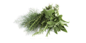 work_site_&_food_porchetta_erbe_aromatiche
