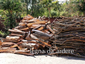 Forno_a_legna_legna_da_ardere_01