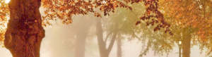 parchi_moderni_slider_02