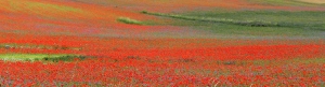 colori_naturali_di_Castelluccio_slider_05