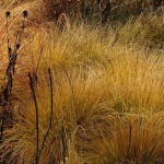 parchi_moderni_07
