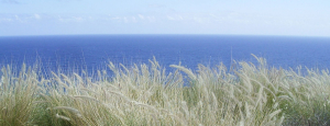 parchi_moderni_slider_piu_02