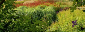 Gabriele_Pazzaglia_fiori_estate_03