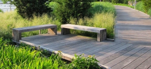 Gabriele_Pazzaglia_fiori_estate_07