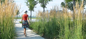 Gabriele_Pazzaglia_fiori_estate_08