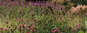 Gabriele_pazzaglia_progettazione_giardini_01