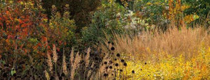 Gabriele_pazzaglia_progettazione_giardini_03