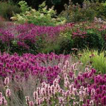 Gabriele_pazzaglia_progettazione_giardini_05