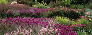 Gabriele_pazzaglia_progettazione_giardini_05