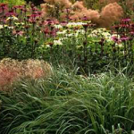 Gabriele_pazzaglia_progettazione_giardini_06