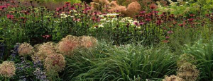 Gabriele_pazzaglia_progettazione_giardini_06