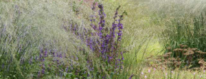 Gabriele_pazzaglia_progettazione_giardini_10