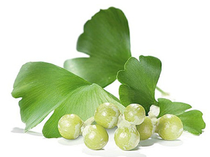 Giardini_gabriele_pazzaglia_ginkgo_biloba_bacche
