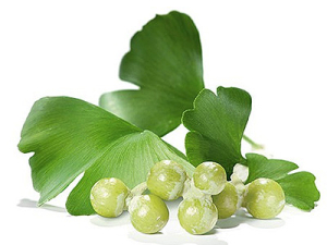 Giardini_gabriele_pazzaglia_ginkgo_biloba_bacche
