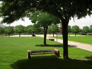 Parco_Morandi_Umbertide_Italy_010