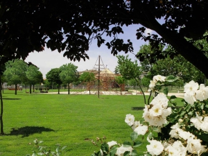 Parco_Morandi_Umbertide_Italy_022